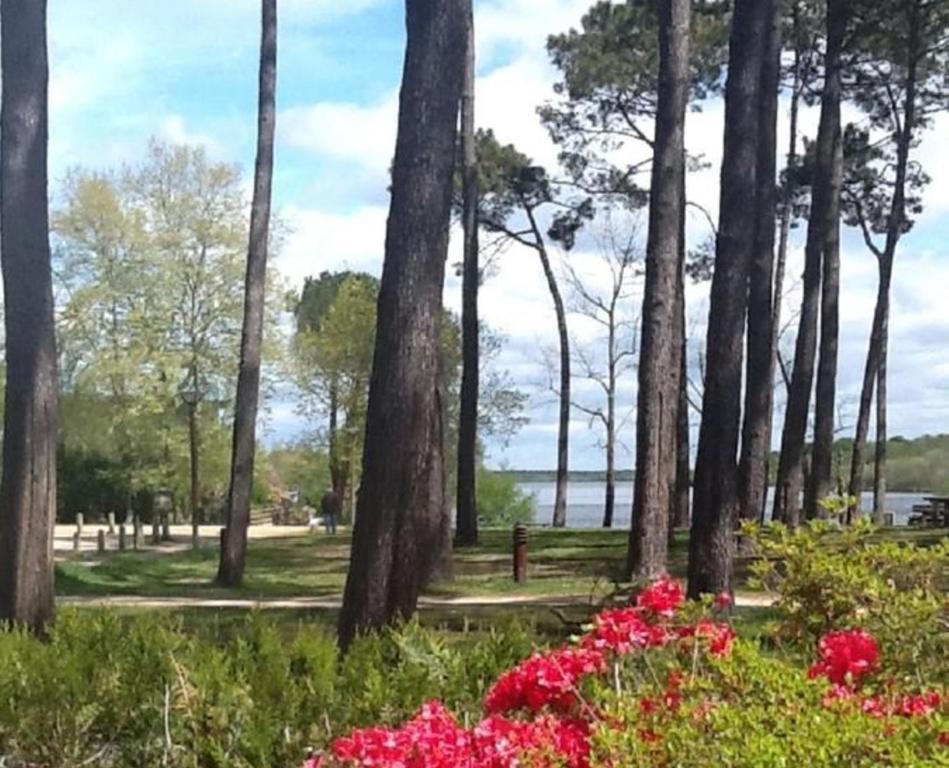 Hotel Au Bon Coin Du Lac Mimizan-Plage Kültér fotó