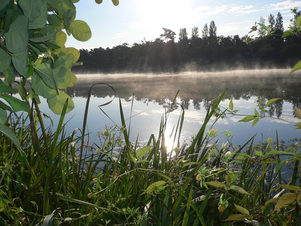 Hotel Au Bon Coin Du Lac Mimizan-Plage Kültér fotó